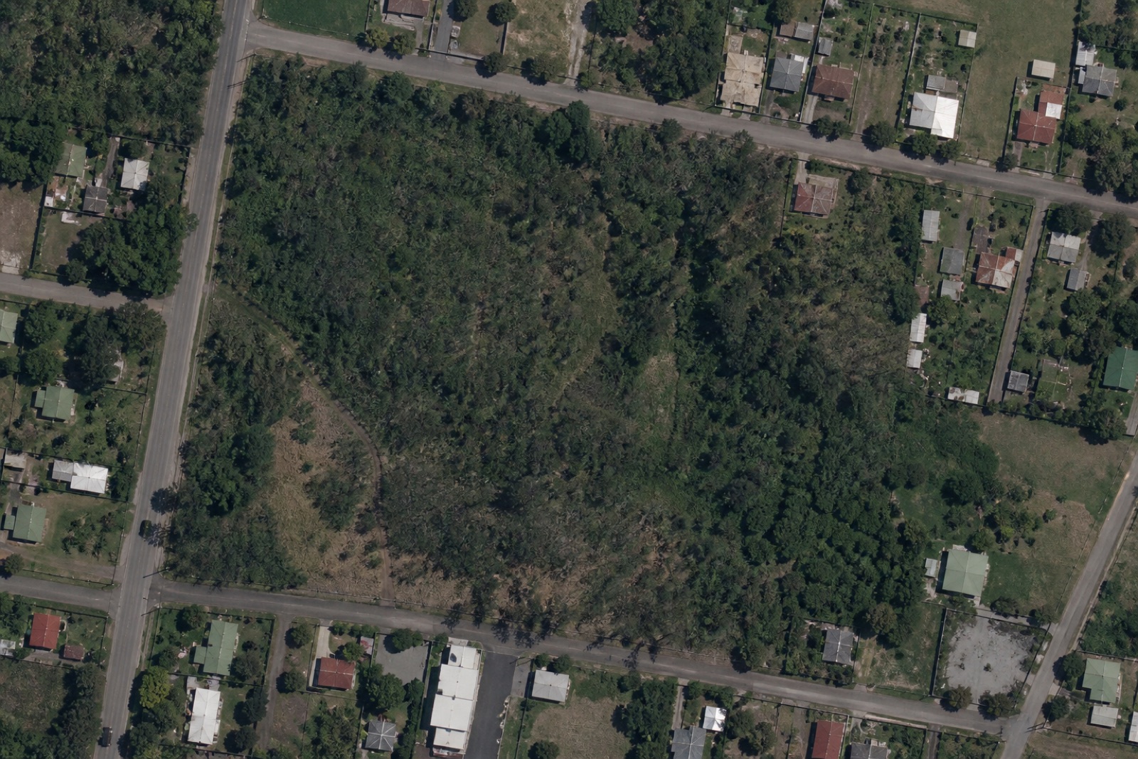 Illustrative baseline aerial view of a wooded peri-urban parcel before site clearing